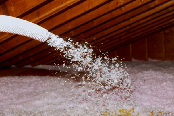 Best Commercial Insulation in Paw Paw Lake, MI