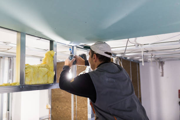 Best DIY Insulation Kits and Guidance in Paw Paw Lake, MI