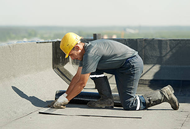 Best Blown-in Insulation in Paw Paw Lake, MI
