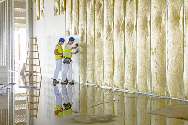 Types of Insulation We Offer in Paw Paw Lake, MI